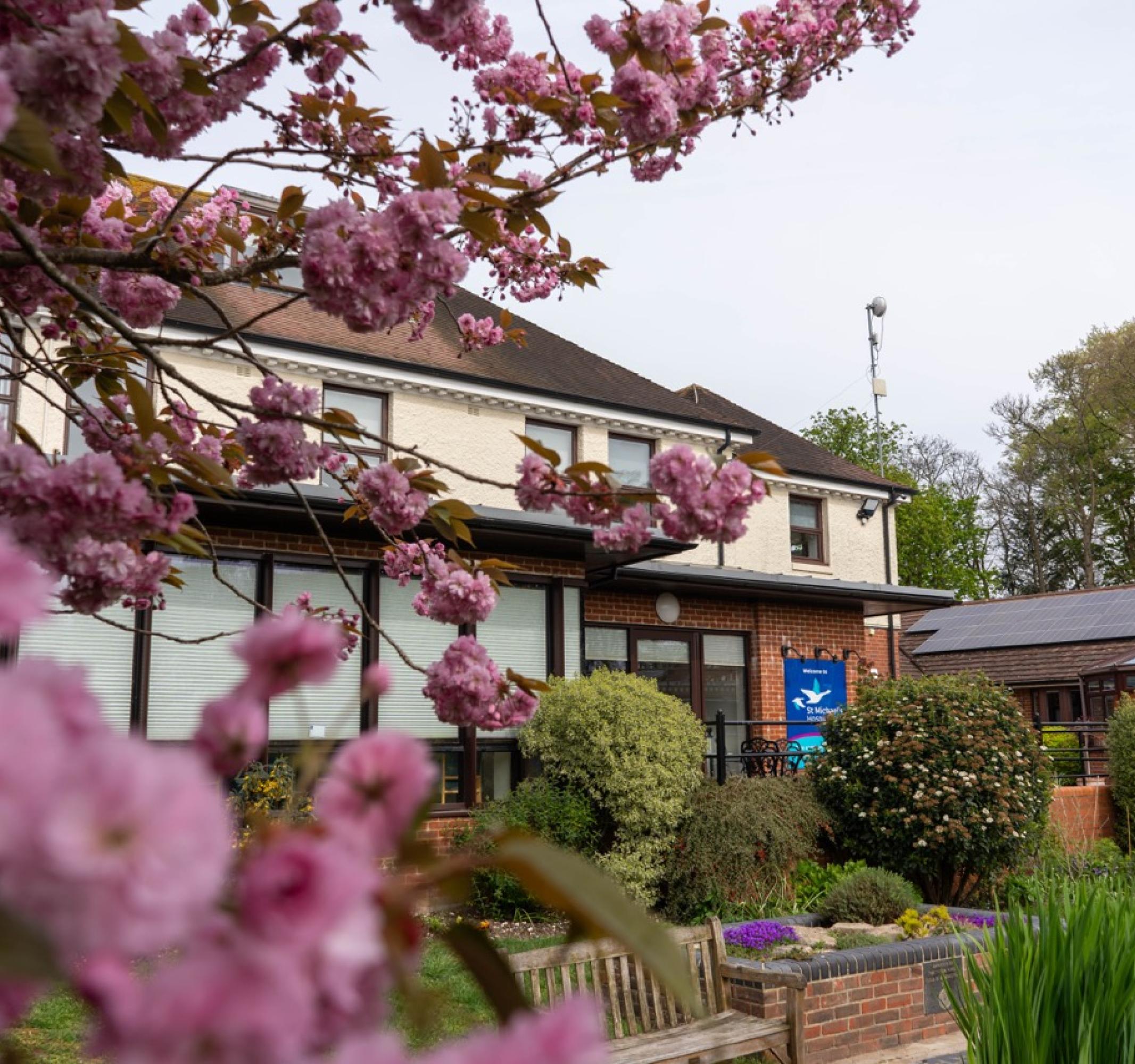 Building with light walls and brown roof, framed by bright pink cherry blossoms in the foreground.