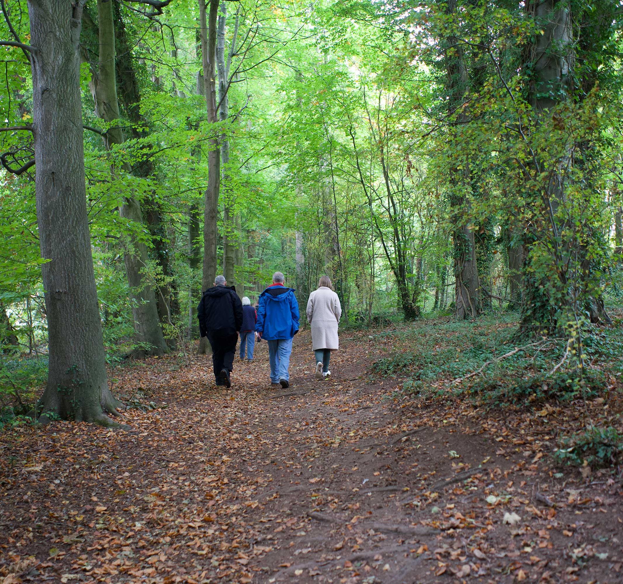 Walk and talk 