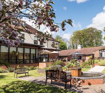 Sunny garden with blooming cherry tree in front of a large building.