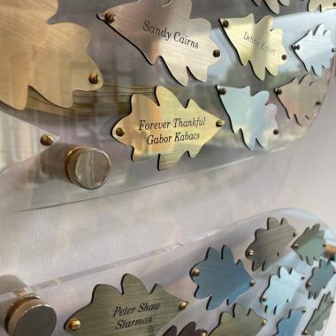 Bronze and silver metallic oak leaf plaques on a donor wall, some engraved.