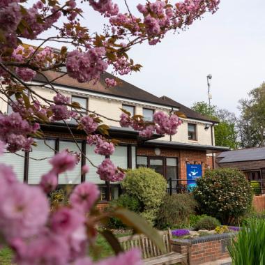 Building with light walls and brown roof, framed by bright pink cherry blossoms in the foreground.