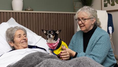 Woman in bed smiles at a small dog in a yellow vest held by another woman.