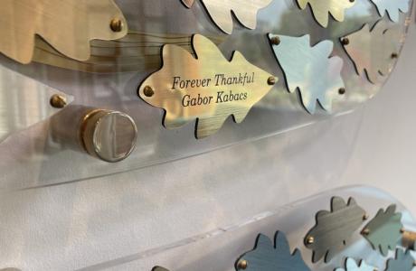 Bronze and silver metallic oak leaf plaques on a donor wall, some engraved.