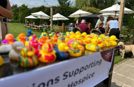 Close us of lots of rubber ducks