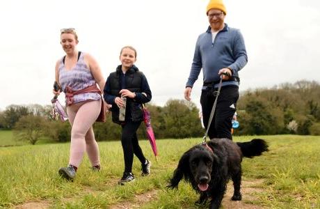 dog walk