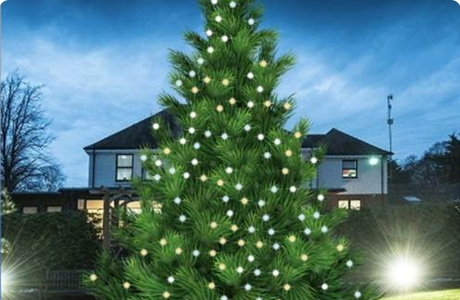 Large outdoor Christmas tree with white and yellow lights in front of a house at dusk.