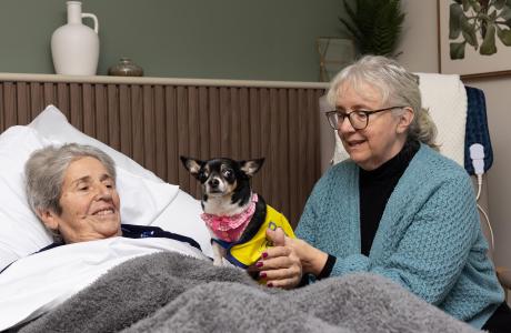 Woman in bed smiles at a small dog in a yellow vest held by another woman.