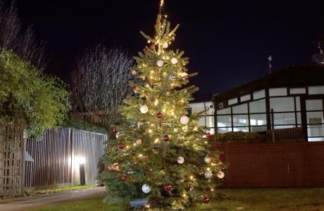Brightly lit Christmas tree with red and white ornaments glows outdoors at night.