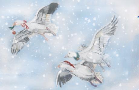 Graphic: Three geese fly in a sparkling winter sky, wearing festive neck wreaths. St Michael's Hospice logo.