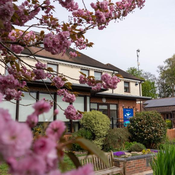 Building with light walls and brown roof, framed by bright pink cherry blossoms in the foreground.
