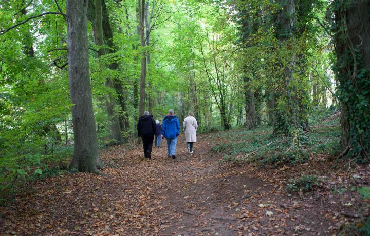 Walk and talk 