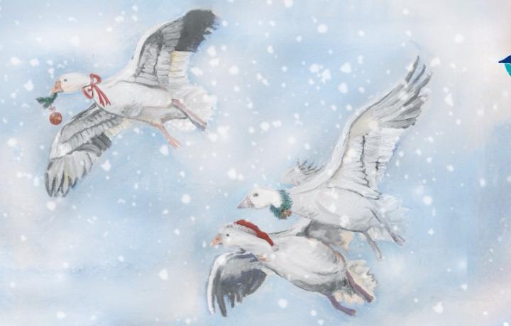 Graphic: Three geese fly in a sparkling winter sky, wearing festive neck wreaths. St Michael's Hospice logo.