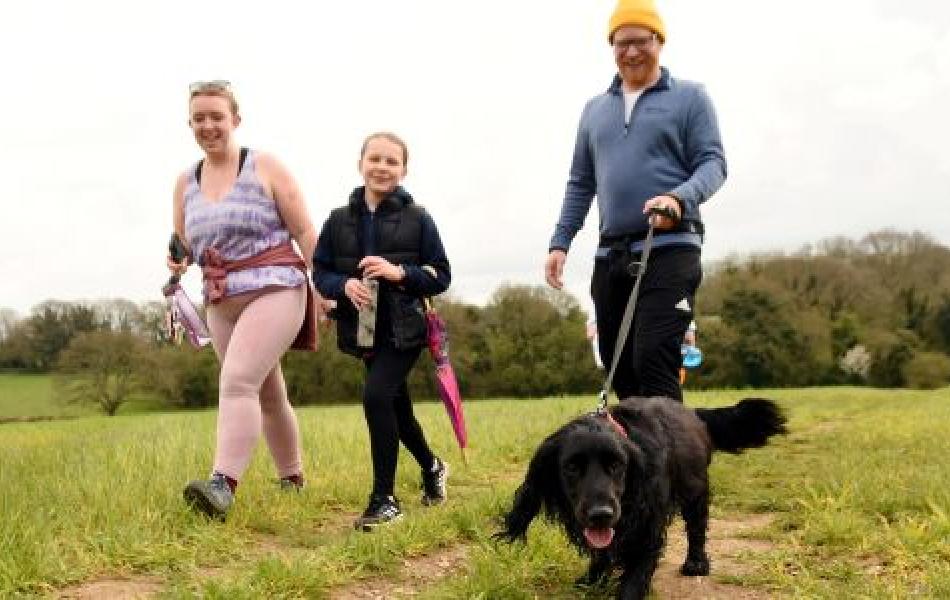 dog walk