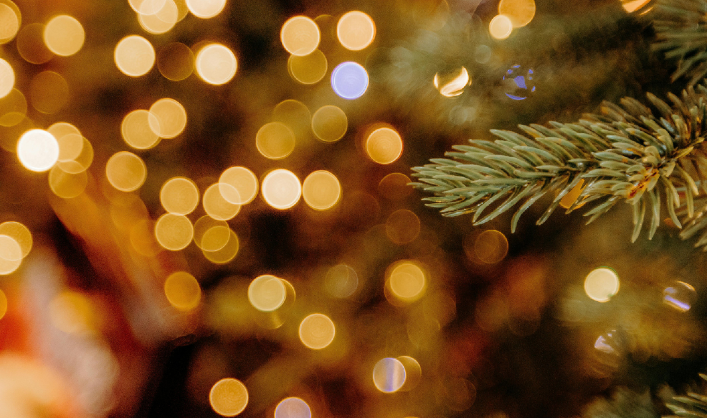Image of sparkly Christmas lights