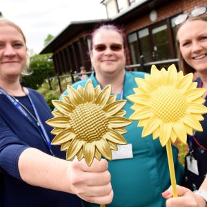 Commemorative Sunflowers