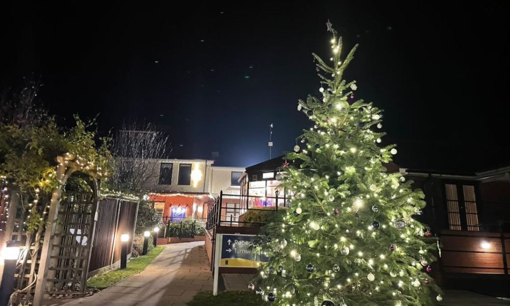 Image of the Hospice lit up for Christmas, with a Christmas Tree on the right