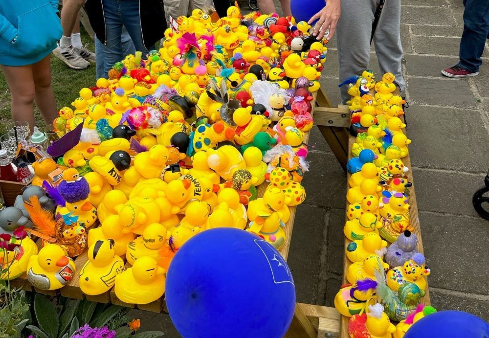 Image of hundreds of yellow rubber ducks