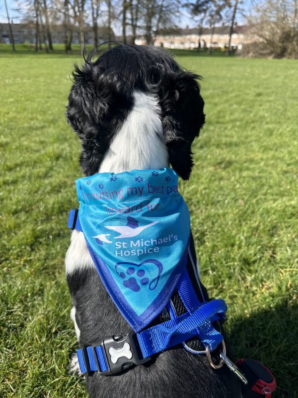 Dog Bandana - Image 2
